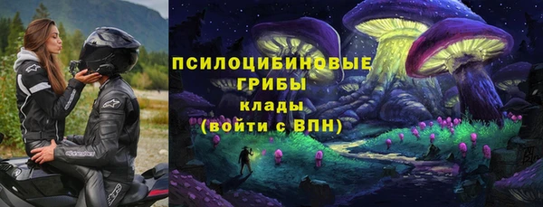 мдма Богданович