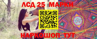 гашик Белореченск