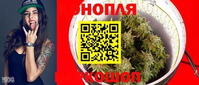 гашик Белореченск