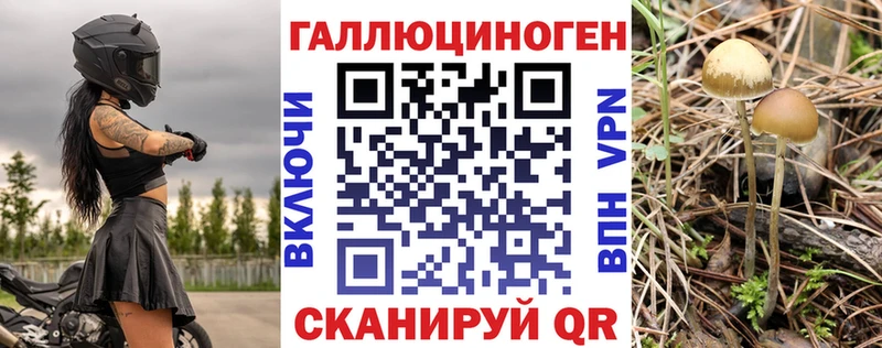 сколько стоит  Богданович  Псилоцибиновые грибы мицелий 