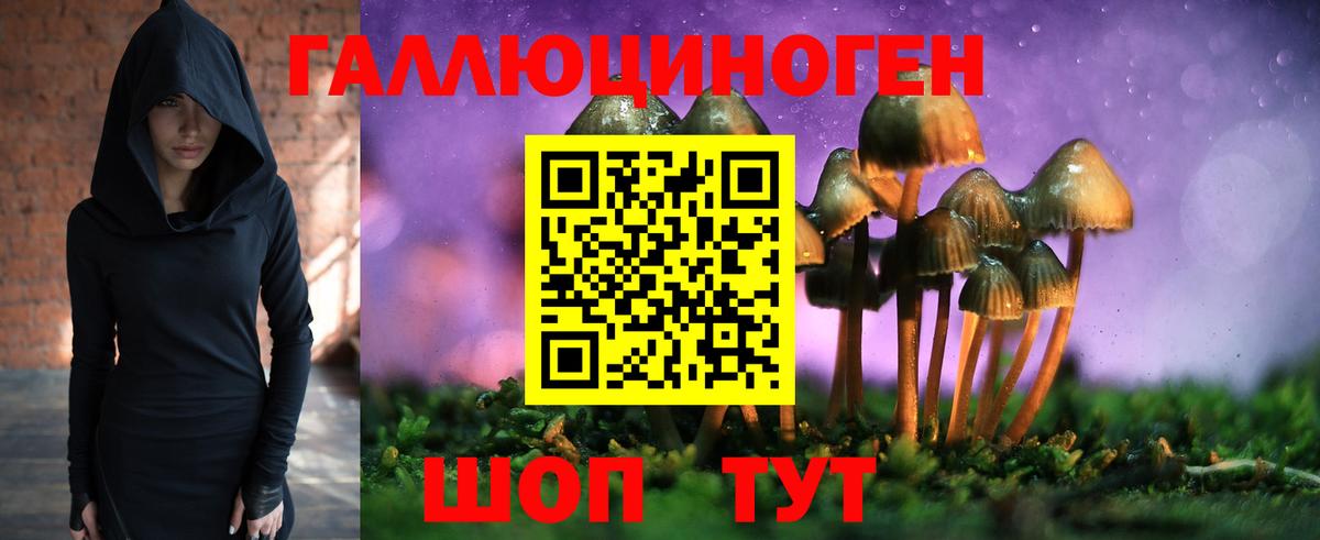 Псилоцибиновые грибы GOLDEN TEACHER Богданович